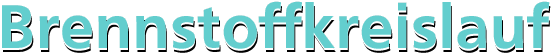 Brennstoffkreislauf